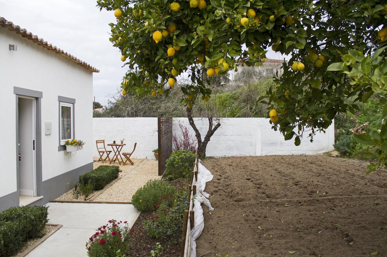 Casa Do Avo Serra Leiria Buitenkant foto