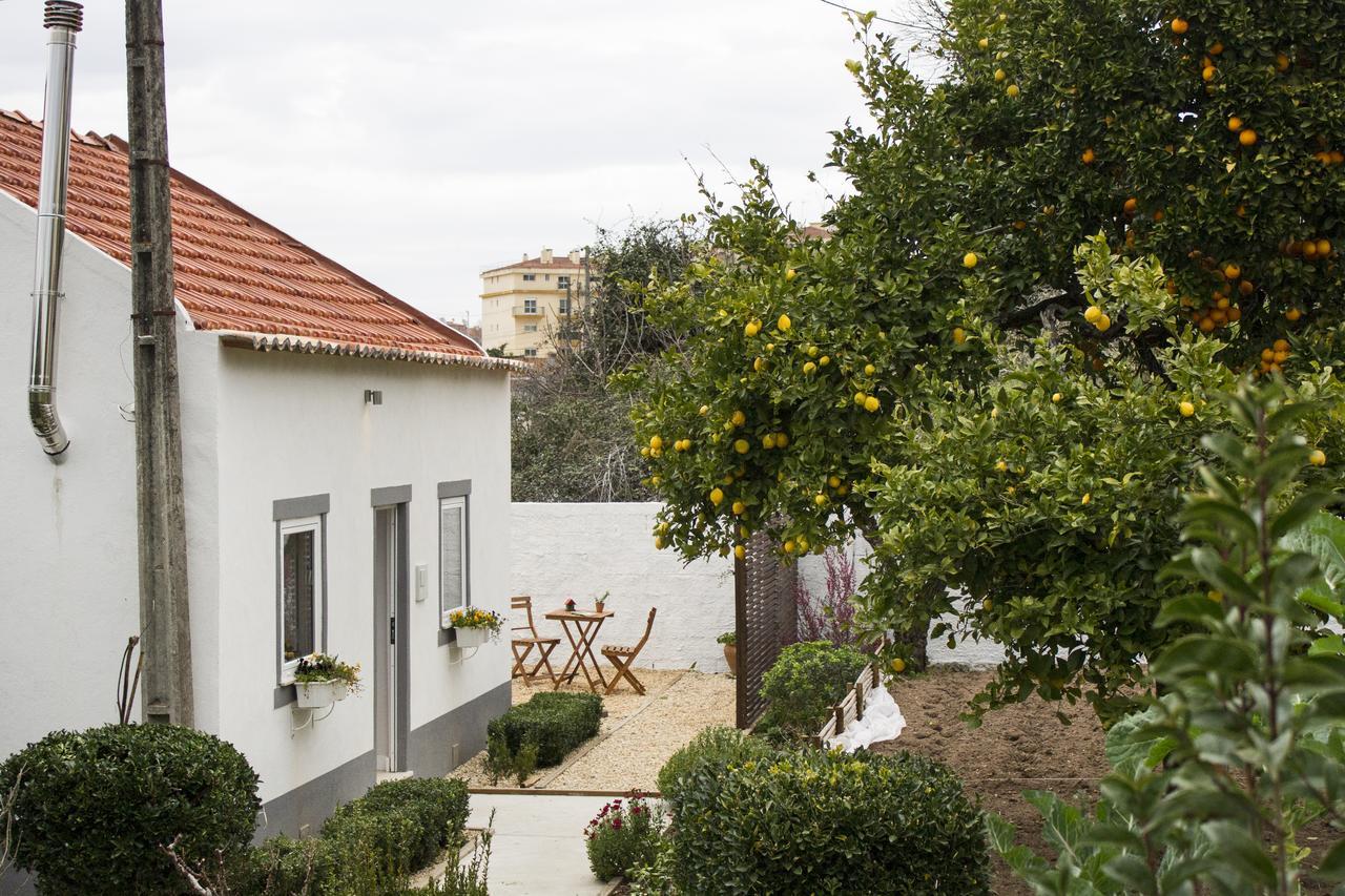 Casa Do Avo Serra Leiria Buitenkant foto